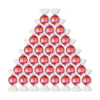 BAG-450G---FRAMBOESA---WEB