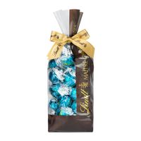LINDOR-TRUFA-CARAMELO-FLOR-DE-SAL---BAG-450g---WEB