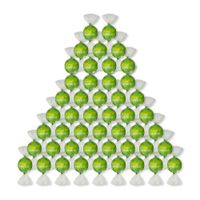 BAG-600G---PISTACHE---WEB