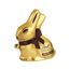 Gold-Bunny-Amargo-100g-1--1-