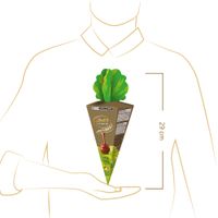 Cenoura-com-Trufas-LINDOR-Sortidas-112g--2-